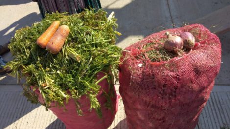 donación de hortalizas de productores de Huayña Pasto Chico