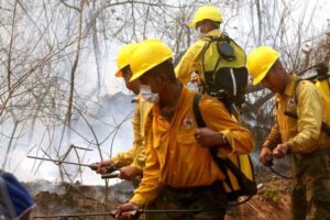 Bolivia y Paraguay se unen para combatir el fuego