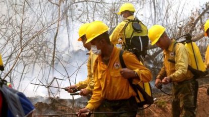 Bolivia y Paraguay se unen para combatir el fuego