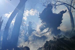 Incendio en el Parque Tunari controlado por bomberos
