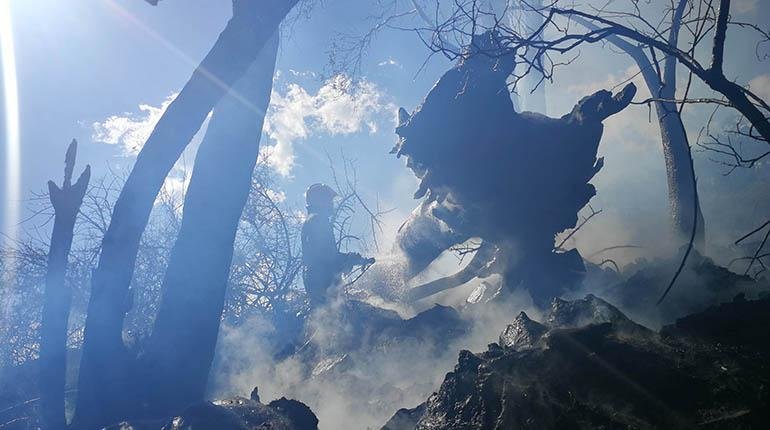 Incendio en el Parque Tunari controlado por bomberos