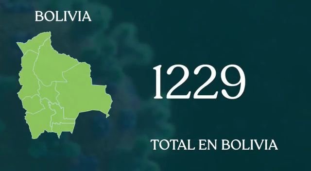 casos nuevos de coronavirus en Bolivia