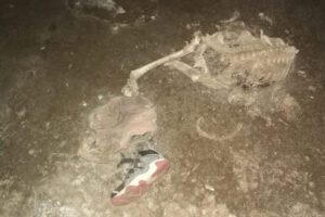 Restos óseos enviados a laboratorio en La Paz para verificar causas de muerte