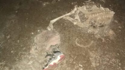 Restos óseos enviados a laboratorio en La Paz para verificar causas de muerte