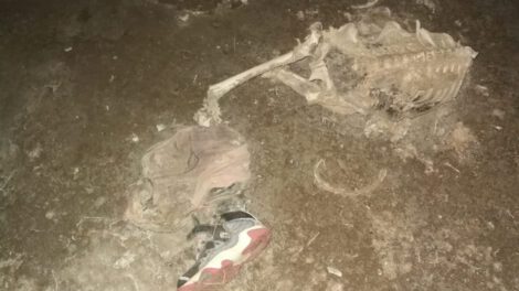 Restos óseos enviados a laboratorio en La Paz para verificar causas de muerte