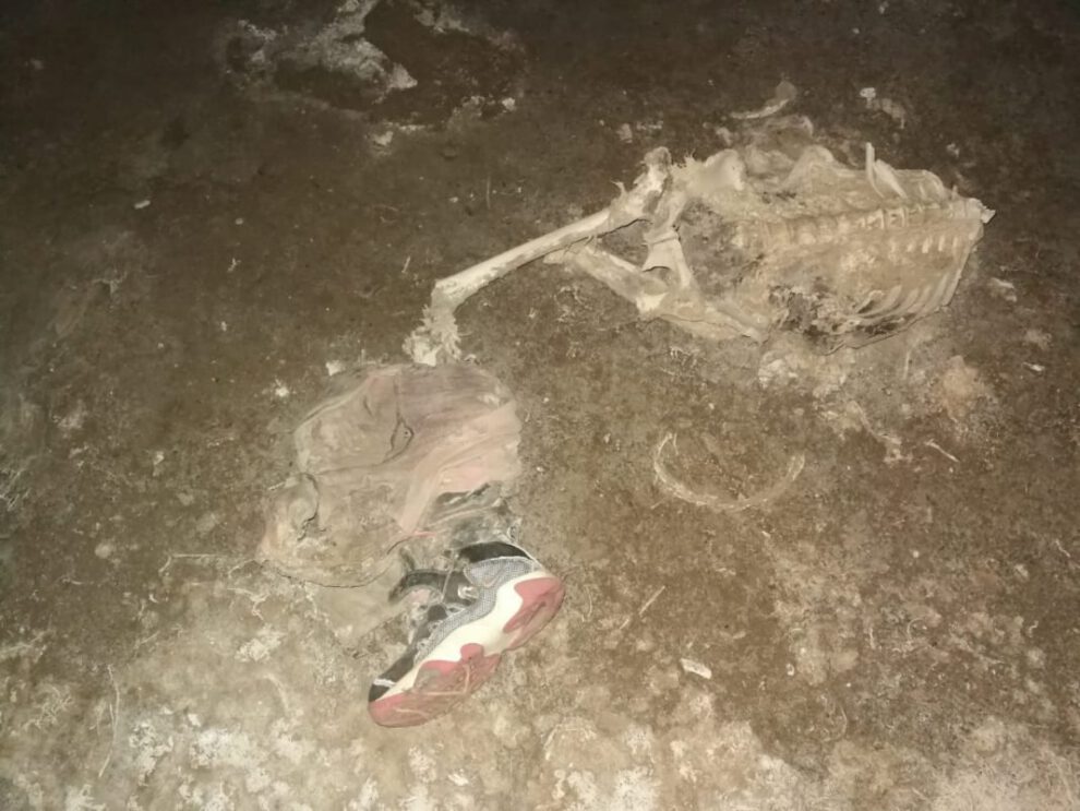 Restos óseos enviados a laboratorio en La Paz para verificar causas de muerte
