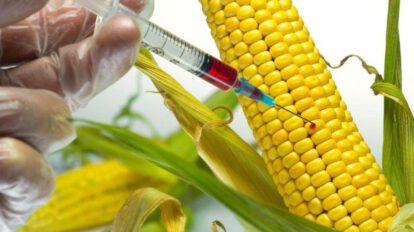 Alimentos libres de transgénicos