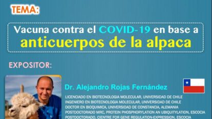 Vacuna contra el Covid-19 con anticuerpos de alpaca