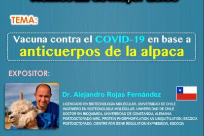 Vacuna contra el Covid-19 con anticuerpos de alpaca