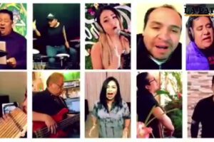 himno de la pandemia versión boliviana de Resistiré