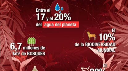 Incendios en la Chiquitanía afectan flora y fauna silvestre