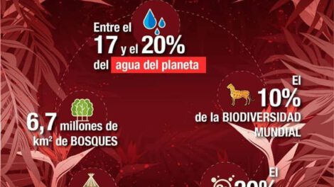 Incendios en la Chiquitanía afectan flora y fauna silvestre