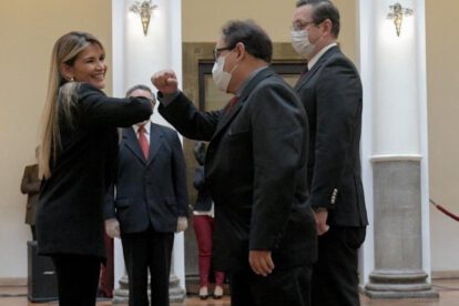 Destitución Ministro de Minería por expresiones racistas