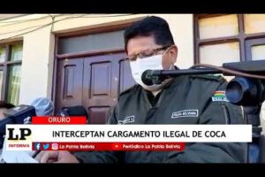 Secuestran sacos de coca transportados por rutas de herradura