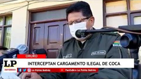 Secuestran sacos de coca transportados por rutas de herradura