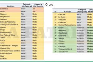 Índice de Riesgo Municipal sobre el comportamiento y propagación del coronavirus Covid-19