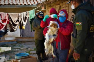 Mujer implicada por el presunto delito de maltrato animal