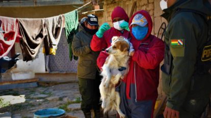 Mujer implicada por el presunto delito de maltrato animal