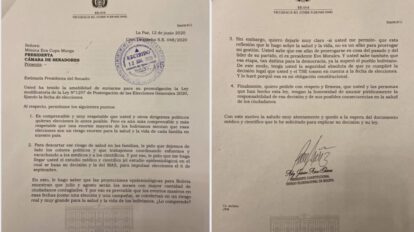 Estudio epidemiológico elecciones solicitado por Áñez