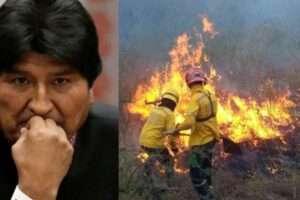 Cabildo rechaza Ley de desmonte en Roboré