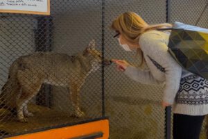 La Presidente Áñez visita al zorrito Antonio