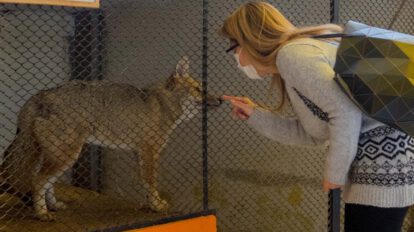 La Presidente Áñez visita al zorrito Antonio