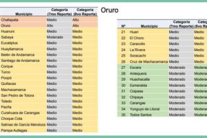 Reporte del Índice de Riesgo Municipal de Covid-19 en Oruro
