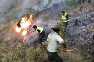 Bombero desaparecido en Coroico