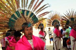 Pueblos originarios en emergencia por Covid-19