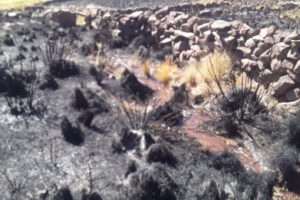 Incendios forestales en Oruro