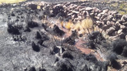 Incendios forestales en Oruro