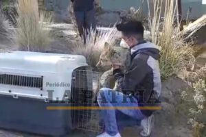 Reencuentro de Antonio y Brayan en el Zoológico Andino