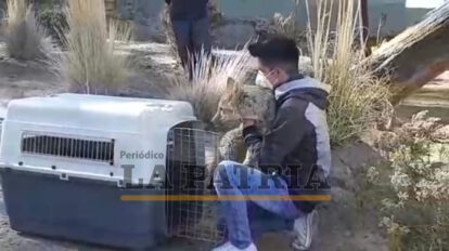 Reencuentro de Antonio y Brayan en el Zoológico Andino