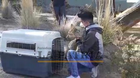 Reencuentro de Antonio y Brayan en el Zoológico Andino