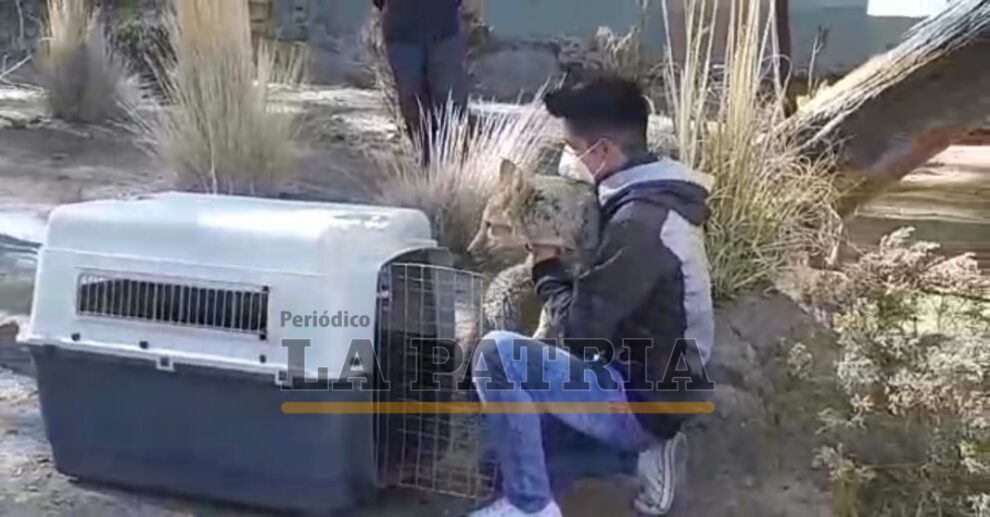Reencuentro de Antonio y Brayan en el Zoológico Andino
