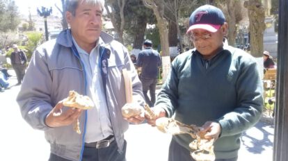 Mineros de La Joya hallan vestigios de la época colonial en el cerro Inca Sayaña