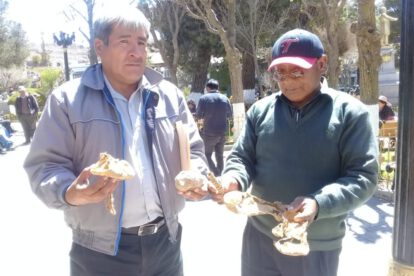 Mineros de La Joya hallan vestigios de la época colonial en el cerro Inca Sayaña