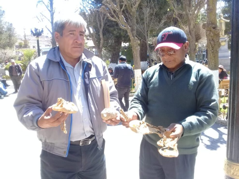 Mineros de La Joya hallan vestigios de la época colonial en el cerro Inca Sayaña