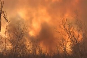Desastre Nacional por incendio en la Chiquitanía