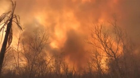 Desastre Nacional por incendio en la Chiquitanía