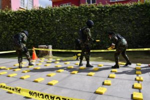 Incautación de cocaína en operativos de la Felcn en La Paz