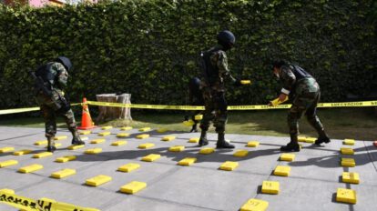 Incautación de cocaína en operativos de la Felcn en La Paz