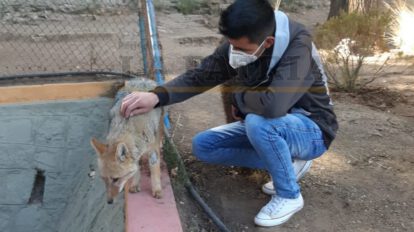 Brayan junto al zorrito Antonio en el Zoológico Andino Municipal de Oruro