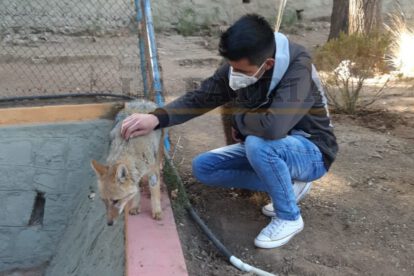 Brayan junto al zorrito Antonio en el Zoológico Andino Municipal de Oruro
