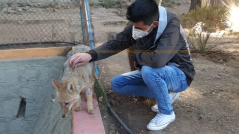 Brayan junto al zorrito Antonio en el Zoológico Andino Municipal de Oruro