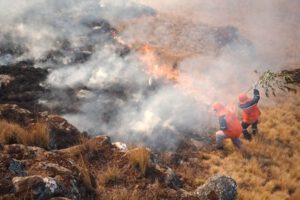 Incendio en Sacaba afectó 2.050 hectáreas de bosque