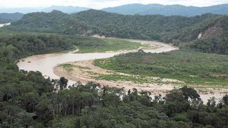Avasallamiento en el Tipnis y protección para el pueblo Yuqui