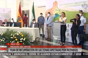 Plan de Recuperación de Zonas Afectadas por Incendios