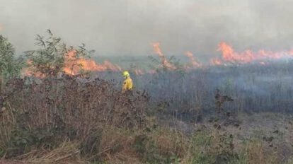 Paralización de quema en Santa Cruz por incendios forestales