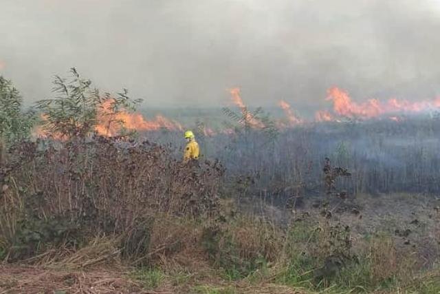 Paralización de quema en Santa Cruz por incendios forestales